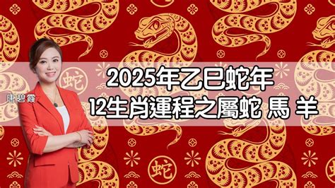 屬蛇運勢|2025蛇年運程｜12生肖運勢全面睇+犯太歲4生肖+開運大